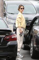 ALESSANDRA AMBROSIO Out for Ggrocery Shopping at Bristol Farms in Brentwood 06/08/2023