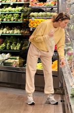 ALESSANDRA AMBROSIO Out for Ggrocery Shopping at Bristol Farms in Brentwood 06/08/2023