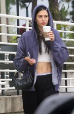 AMELIA HAMLIN at a Starbucks in Studio City 06/10/2023