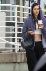 AMELIA HAMLIN at a Starbucks in Studio City 06/10/2023