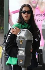 AMELIA HAMLIN Out in Beverly Hills 05/31/2023