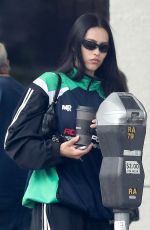 AMELIA HAMLIN Out in Beverly Hills 05/31/2023