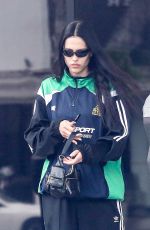 AMELIA HAMLIN Out in Beverly Hills 05/31/2023