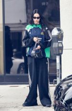 AMELIA HAMLIN Out in Beverly Hills 05/31/2023