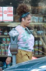 ARYN DRAKE-LEE Out for Grocery Shopping in Los Feliz 06/13/2023