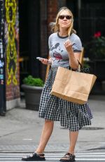 CHLOE SEVIGNY Out Shopping in New York 06/21/2023