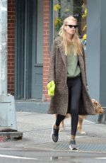 DAPHNE GROENEVELD Out with Her Dog in New York 06/26/2023