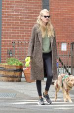DAPHNE GROENEVELD Out with Her Dog in New York 06/26/2023