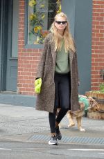 DAPHNE GROENEVELD Out with Her Dog in New York 06/26/2023