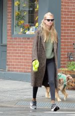 DAPHNE GROENEVELD Out with Her Dog in New York 06/26/2023