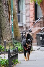 EMILY RATAJKOWSKI Out Walks Her Dog in New York 06/21/2023