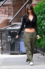 EMILY RATAJKOWSKI Out Walks Her Dog in New York 06/21/2023