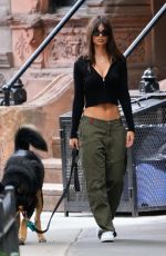 EMILY RATAJKOWSKI Out Walks Her Dog in New York 06/21/2023