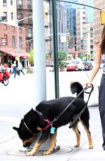 EMILY RATAJKOWSKI Out with Her Dog Colombo in New York 06/15/2023