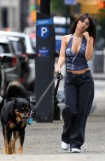 EMILY RATAJKOWSKI Out with Her Dog Colombo in New York 06/15/2023
