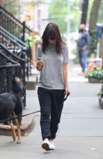 EMILY RATAJKOWSKI Out with her Dog in New York 06/20/2023