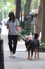 EMILY RATAJKOWSKI Out with her Dog in New York 06/20/2023