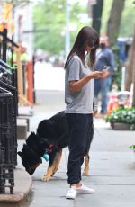 EMILY RATAJKOWSKI Out with her Dog in New York 06/20/2023