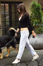 EMILY RATAJKOWSKI Out with Her Dog in New York 06/23/2023