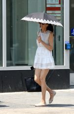 FAMKE JANSSEN Out and About in New York 05/30/2023