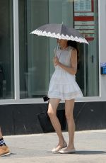 FAMKE JANSSEN Out and About in New York 05/30/2023