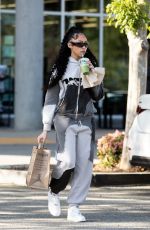 JODIE WOODS Out for Grocery Shopping in Calabasas 06/01/2023