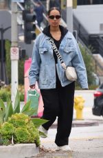 LEONA LEWIS Leaves WildFlora in Studio City 06/16/2023