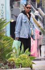 LEONA LEWIS Leaves WildFlora in Studio City 06/16/2023