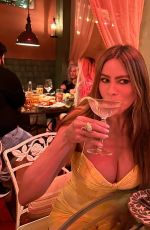 SOFIA VERGARA - Instagram Photos 06/26/2023