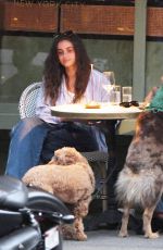 TAYLOR HILL and DAPHNE GROENEVELD Out for Early Dinner at Dante in New York 06/27/2023