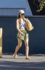 ALISON BRIE Shopping at Gelson