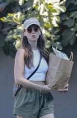 ALISON BRIE Shopping at Gelson