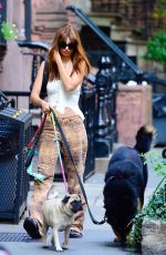 EMILY RATAJKOWSKI Out Walking Her Dog in New York 07/26/2023