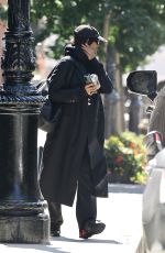 IRINA SHAYK Getting into an Suv in New York 07/28/2023