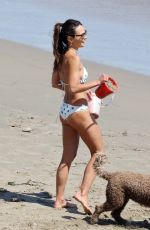 JORDANA BREWSTER in Bikini on the Beach in Santa Barbara 07/03/2023