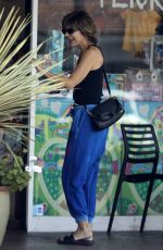 LISA RINNA Out Shopping in Los Angeles 07/23/2023