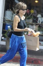 LISA RINNA Out Shopping in Los Angeles 07/23/2023
