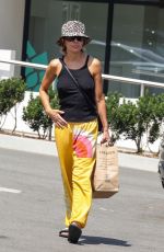 LISA RINNA Shopping at Erewhon Market in Los Angeles 07/22/2023