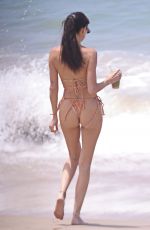 NICOLE WILLIAMS in Bikini at a Beach in Malibu 07/27/2023