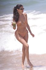 NICOLE WILLIAMS in Bikini at a Beach in Malibu 07/27/2023