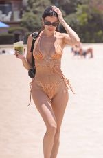 NICOLE WILLIAMS in Bikini at a Beach in Malibu 07/27/2023