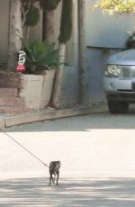 SARAH SILVERMAN and Rory Albanese Out with Their Dogs in Los Angeles 07/01/2023
