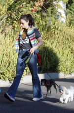 SARAH SILVERMAN and Rory Albanese Out with Their Dogs in Los Angeles 07/12/2023