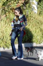 SARAH SILVERMAN and Rory Albanese Out with Their Dogs in Los Angeles 07/12/2023