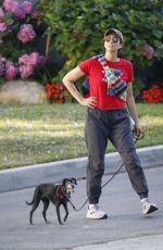 SARAH SILVERMAN Out on a Dog Walk in Los Angeles 07/13/2023