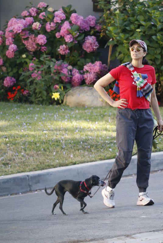 SARAH SILVERMAN Out on a Dog Walk in Los Angeles 07/13/2023