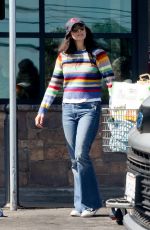 SARAH SILVERMAN Out Shopping with Rory Albanese at Gelson