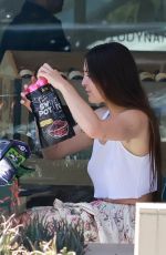SCOUT WILLIS Out for Lunch in West Hollywood 07/10/2023