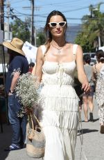 ALESSANDRA AMBROSIO Out at Farmer