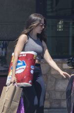 ALISON BRIE Out Shopping at Gelson